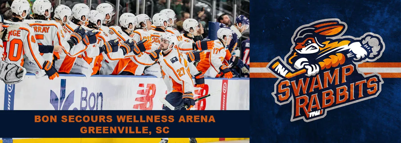 bon secours wellness arnena hockey